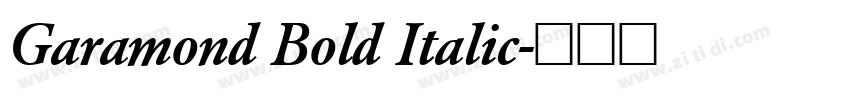 Garamond Bold Italic字体转换